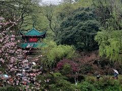 -岳麓山风景名胜区