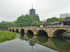 -乡亲鹅肉城(吴江店)