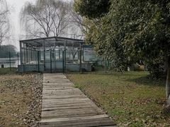 -荷塘月色湿地公园·向阳花洲