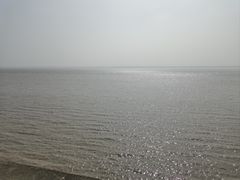 -观潮胜地公园