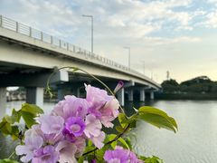 -深圳湾公园(南山区)