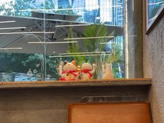 -Infica Coffee