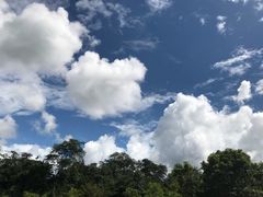 景点-乌鲁淡布隆国家公园