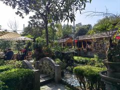 -青城甲(青城山店)