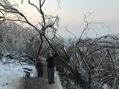 -紫金山山顶公园