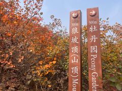 -北宫国家森林公园