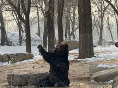 -北京野生动物园