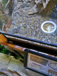 -酷嗒动物文化乐园(cutezoo西溪乐天城店)