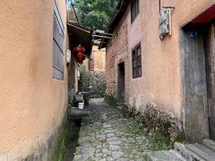 -杨家堂村