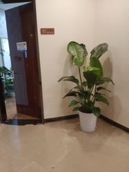 点击看大图 -四川娇点医学美容医院