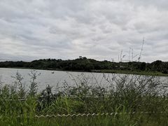 -大青沟风景区