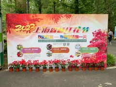 -东平国家森林公园