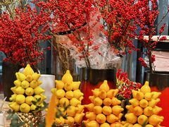 -双季花艺园艺市场(浦东店)