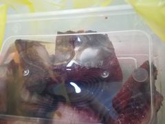 -陈光记烧腊(长寿路店)