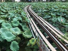 -红山村