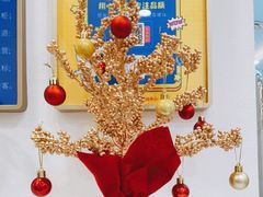 -龙格亲子游泳·水育早教运动中心(绿宝中心)