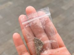 -黄振龙凉茶(泰安路店)