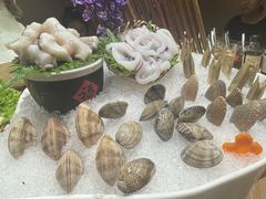 -尚海豆捞(乐虹坊店)