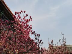 -盛世南宫影视城(北普陀影视城)