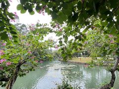 -荔枝公园(福田区)