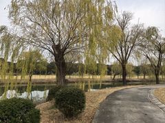 -旭宝高尔夫俱乐部