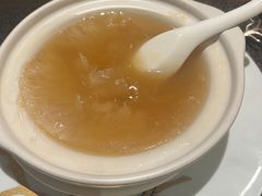 -新同乐鱼翅酒家(美丽华店)