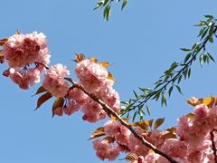 -大连植物园