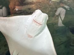 -珠海长隆海洋王国