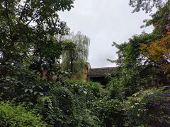-黄龙溪古镇