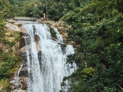 -海南热带雨林国家公园吊罗山景区