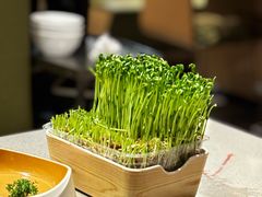 -海底捞火锅(劲松店)