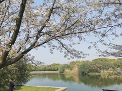 -无锡蠡湖国家湿地公园-蠡园
