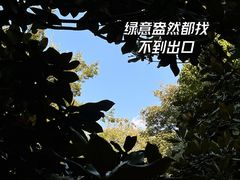 -杭州植物园
