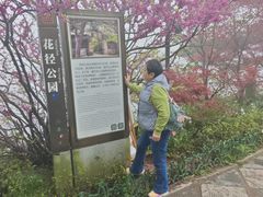 -庐山风景区花径公园