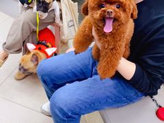 -爱侣宠医·鹦鹉专科·小型哺乳类·异宠专科(灵石路店)