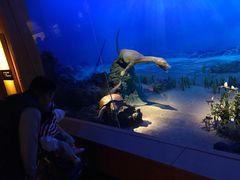 -贝林大翅鲸简餐厅(国家海洋博物馆店)