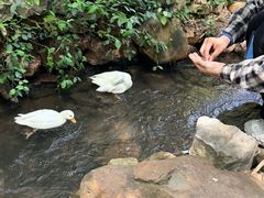-竹泉村旅游度假区