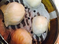 -点点心点心专门店(旺角店)