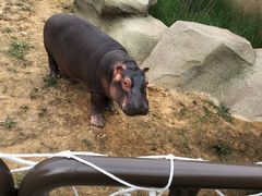 -大连森林动物园