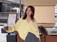 -岭南站NOVA
