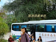 -兴隆槟榔园休闲农庄