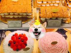 -布歌东京(金融街购物中心店)