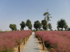 -汉长安城未央宫国家考古遗址公园