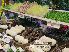 -田园印象·成都土菜院子(华阳店)