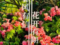 -云溪植物园