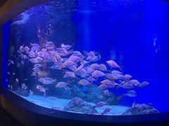 -成都浩海立方海洋公园