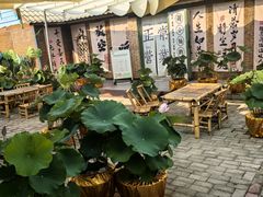 -荷花荡