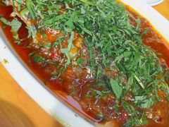 -老字号怡玺·藿香雅鱼(20年雅安店)