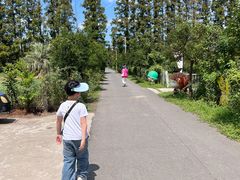 -上海长兴岛郊野公园