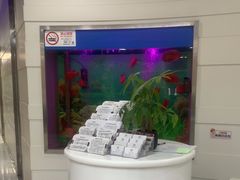 -雅悦齿科(顾村公园店)